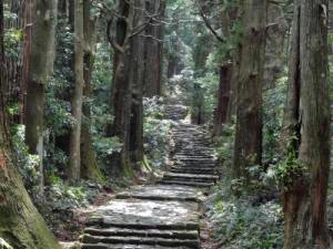 熊野古道大門坂