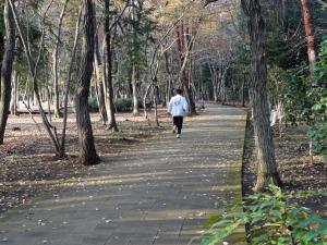 赤坂の森</td